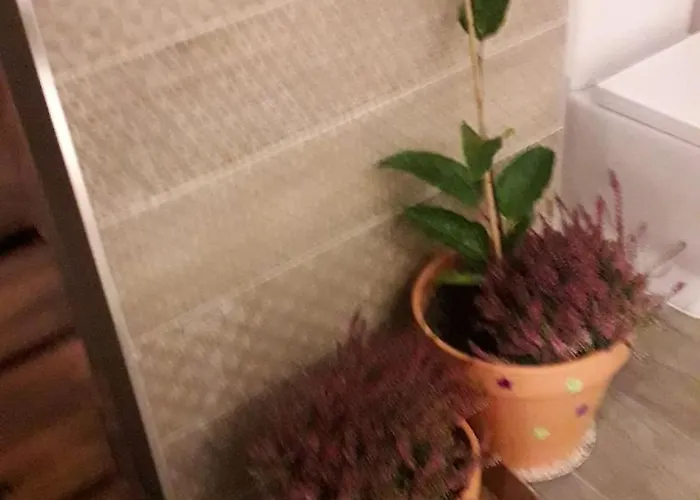 An With An Ocean View